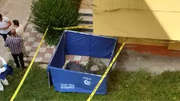 Arkadaşlarının cesedini taşırken yakalanan 2 kişi gözaltına alındı