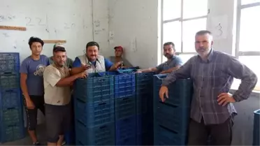 Muhtar, söz verdiği kooperatifi kurdu çiftçinin gelirini artırdı