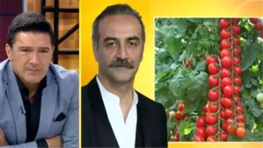 Şehir hayatından sıkılıp köye yerleşen ünlüler!