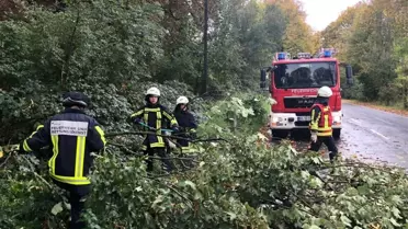 Almanya'da fırtına hayatı felç etti