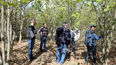 Çeşmeköy Bal Ormanı'nda inceleme yapıldı