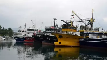 Balıkçılar, sezondan beklediklerini bulamıyor