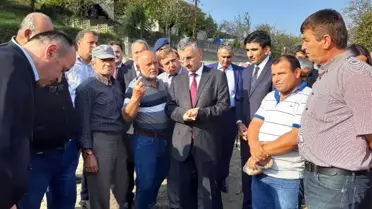 Çaycuma'da 'silajlık mısır hasadı' yapıldı