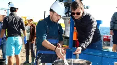 Karadeniz'deki kirliliğe 4 ülkeden ortak bilimsel araştırma