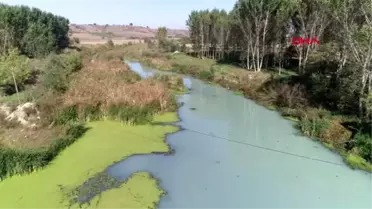 Kırklareli-teke deresi'nde kirlilik; beyaz ve gri renkte akıyor-1