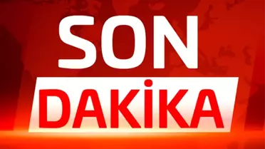Milli güreşçi Rıza Kayaalp şampiyon oldu