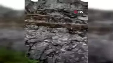 Uludağ'da nefes kesen köpek kurtarma operasyonu