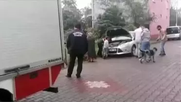Arabanın motoruna sıkışan kediyi gazeteci kurtardı