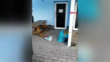 Almanya'da, camiye dışkılı saldırı