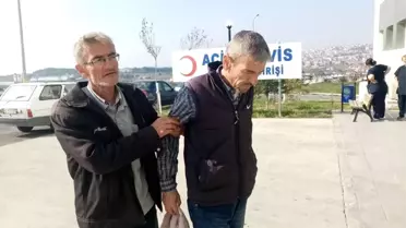 Kestiği ağaç dalı başına düştü