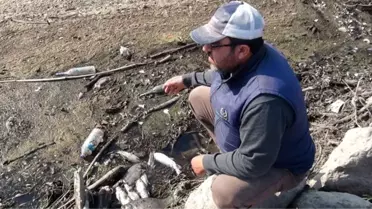 Vatandaşlar, ölen balıkları çuvallara doldurup evlerine götürdüler