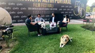 Altın Portakal'da canlı yayının davetsiz sevimli misafiri