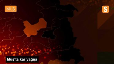 Muş'ta kar yağışı