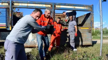 İşte Trakya'nın fidan fabrikası