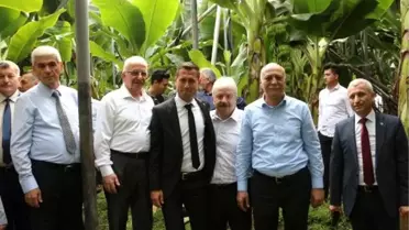 TZOB Başkanı Bayraktar: Ispanağın suçu yok