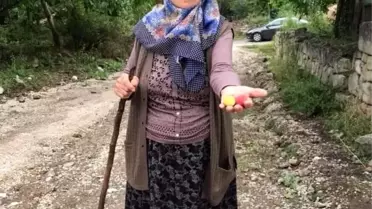Yolcu minibüsünün çarptığı yaşlı kadının kimliği belli oldu