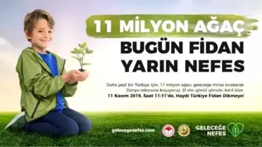 11 milyon fidan hedefi, 13 milyonu aştı