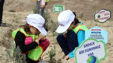 '11 Milyon Ağaç; Bugün Fidan, Yarın Nefes' programı