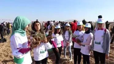 '11 Milyon Ağaç; Bugün Fidan Yarın Nefes' programı