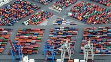 Doğu Anadolu'dan 157 ülkeye ekimde 168,8 milyon dolarlık ihracat
