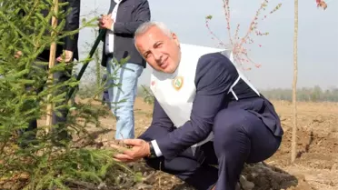 Hendek'te 12 bin 700 fidan toprakla buluştu