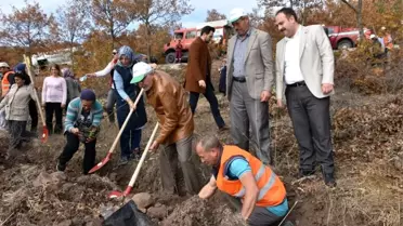 İnönü'de geleceğe nefes olmak için 2 bin fidan toprakla buluştu