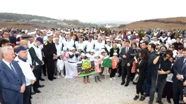 Kocaeli'de 63 bin fidan dikildi