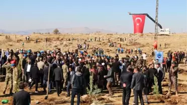 Şırnak'ta, Bakan Soylu'nun katılımıyla 52 bin fidan toprakla buluşturuldu