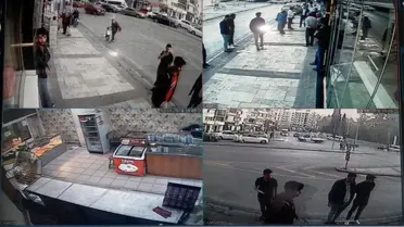 (Özel) Alman kurdunun kaptığı kediyi ağzından 5 kişi güçlükle kurtardı