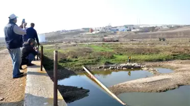 Balık ölümlerinin yaşandığı derede maskeli basın açıklaması