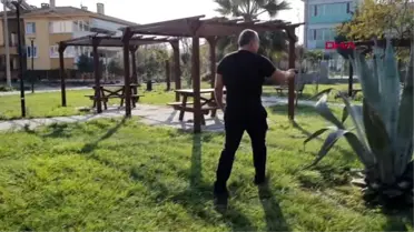 Bursa 6 parçaya ayrılmış köpek ölüsüyle ilgili 'satanist ayini' iddiası