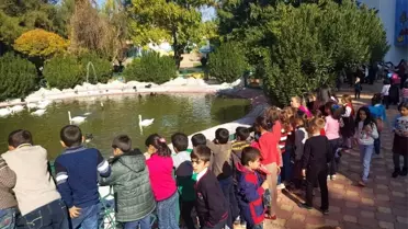 Birecikli öğrenciler ara tatilde hayvanat bahçesini gezdi