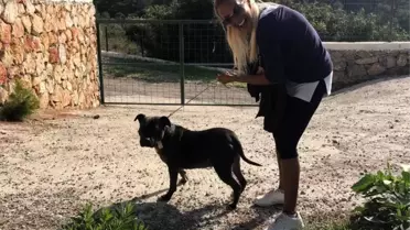 Ünlü müzisyen Ayça Tekindor, hayvanseverlere seslendi; 'Artık birleşip, baş kaldıralım'