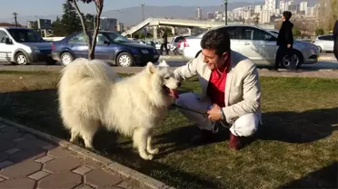 Uzun tüyleri ile görenleri hayran bırakıyor