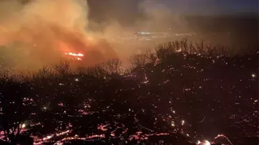 Kaliforniya'da korkutan yangın