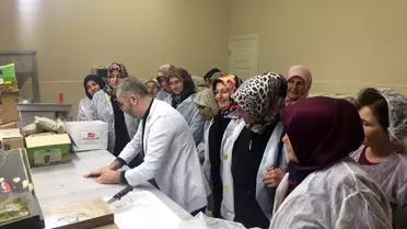 Girişimci kadınlar, şekerleme imalathanesinde incelemede bulundu