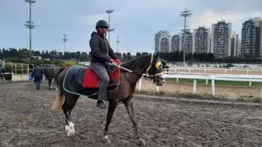 Milyonluk safkanlar, binlerce kişiye istihdam sağlıyor