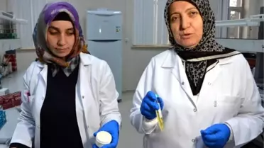 Çaşır bitkisinden diyabetik yaraları için krem ve sprey ürettiler