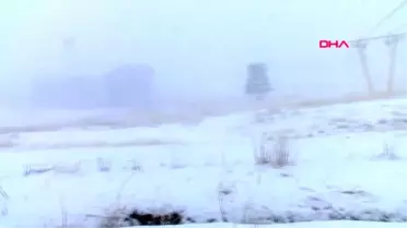 Erzurum çaşır bitkisinden diyabetik yaraları için krem ve sprey ürettiler