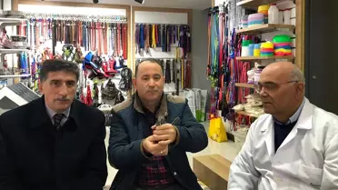 Ordu'da yaralı sığırcık koruma altına alındı