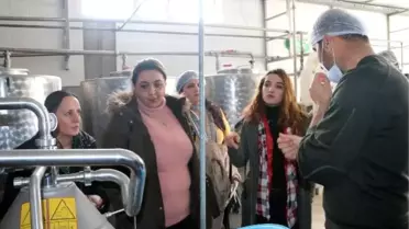 Kadın girişimciler Yüksekova'da işletmeleri gezdi