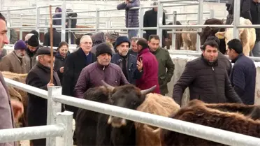Ensar Ögüt, hayvan pazarında besicilerle bir araya geldi