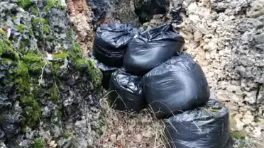 Diyarbakır'da 364 kilo esrar ele geçirildi