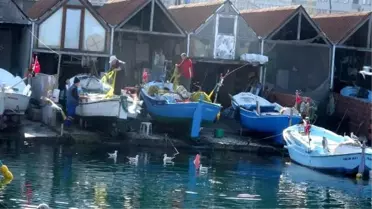 Hamsi avcılığı sınırlansın talebi