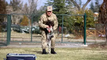 Yerli ırk köpekler, Nevşehir'deki JAKEM'de eğitiliyor