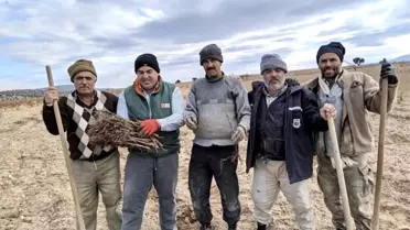 Karaman'da dağ köylerine 50 bin üzüm fidanı dağıtıldı