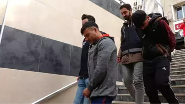 Kendilerine 'Ninja Kaplumbağalar' diyen hırsızlar suçüstü yakalandı