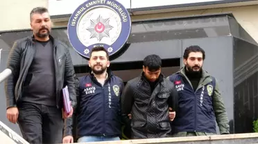 'Ninja Kaplumbağalar' yakayı ele verdi