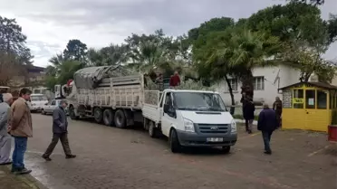 Didim'de zeytin üreticilerine ucuz fidan desteği
