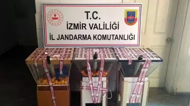 İzmir'de kumar suçundan 54 kişiye işlem yapıldı